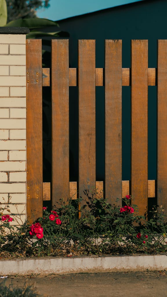 Wooden fence with blossoming red roses alongside a brick wall under bright sunlight.